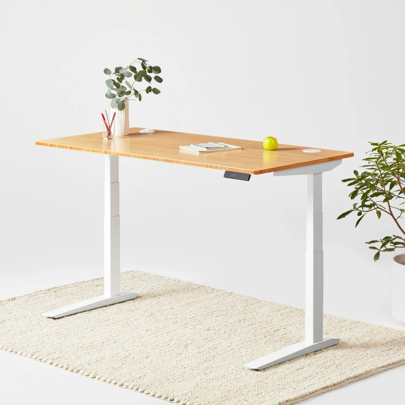 Jarvis Adjustable Height Bamboo Standing Desk Thank You Reward For